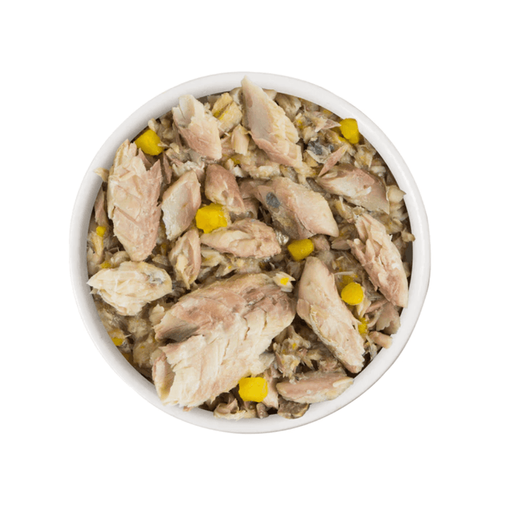 Weruva Wet Cat Food - Weruva Classic Cat Meow Luau with Mackerel & Pumpkin in Gravy Canned 