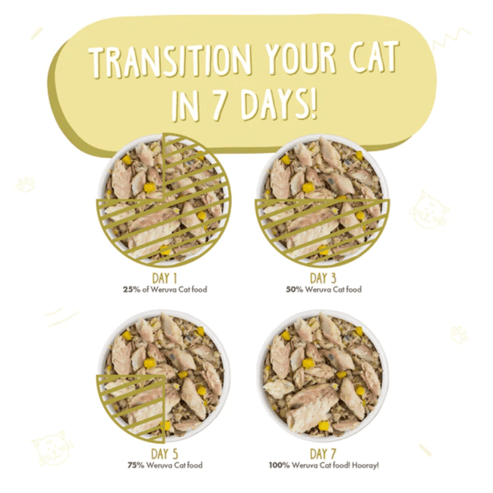 Weruva Wet Cat Food - Weruva Classic Cat Meow Luau with Mackerel & Pumpkin in Gravy Canned 