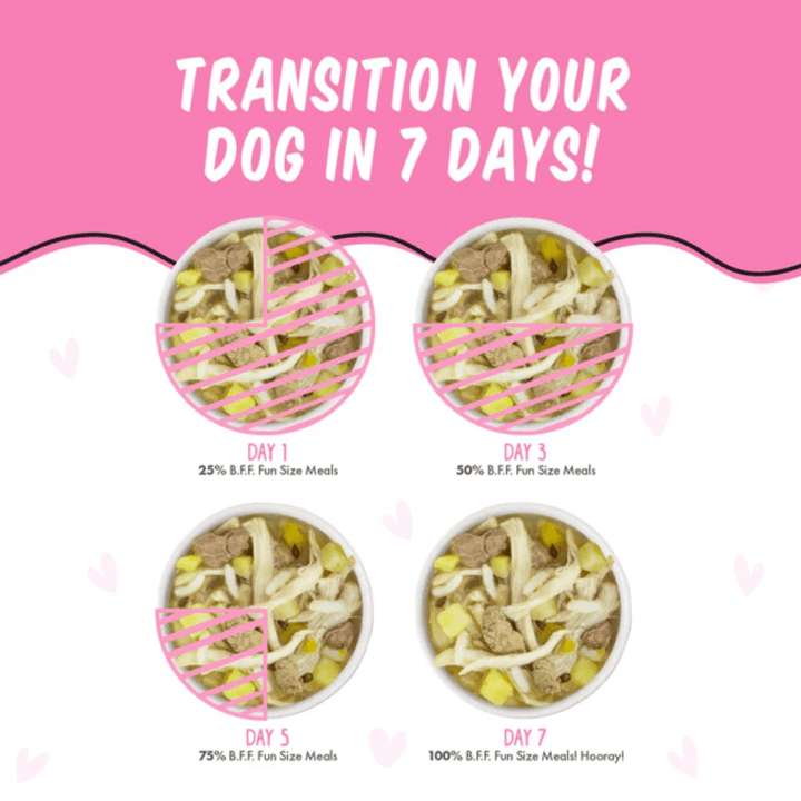 Weruva Wet Dog Food - BFF Fun Size Meals Wanna Be Withya Chicken Breast, Rice and Chicken Liver Cup 