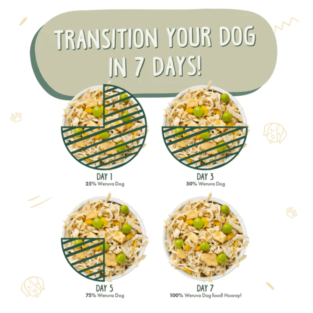 Weruva Wet Dog Food - Green Eggs & Chicken Recipe with Pumpkin in Gravy Canned 