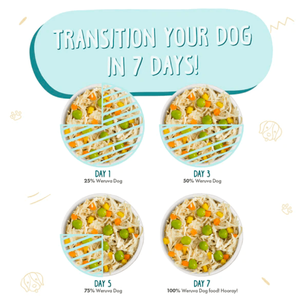 Weruva Wet Dog Food - Classics Funky Chunky Chicken Soup with Pumpkin Canned 