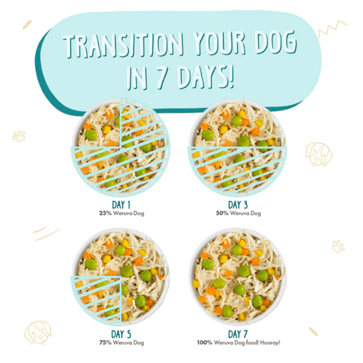 Weruva Wet Dog Food - Classics Funky Chunky Chicken Soup with Pumpkin Canned 