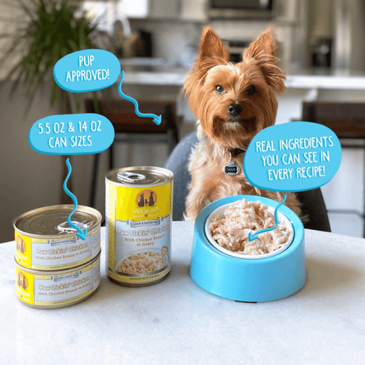 Weruva Wet Dog Food - Marbella Paella with Mackerel & Pumpkin in Aspic Canned 