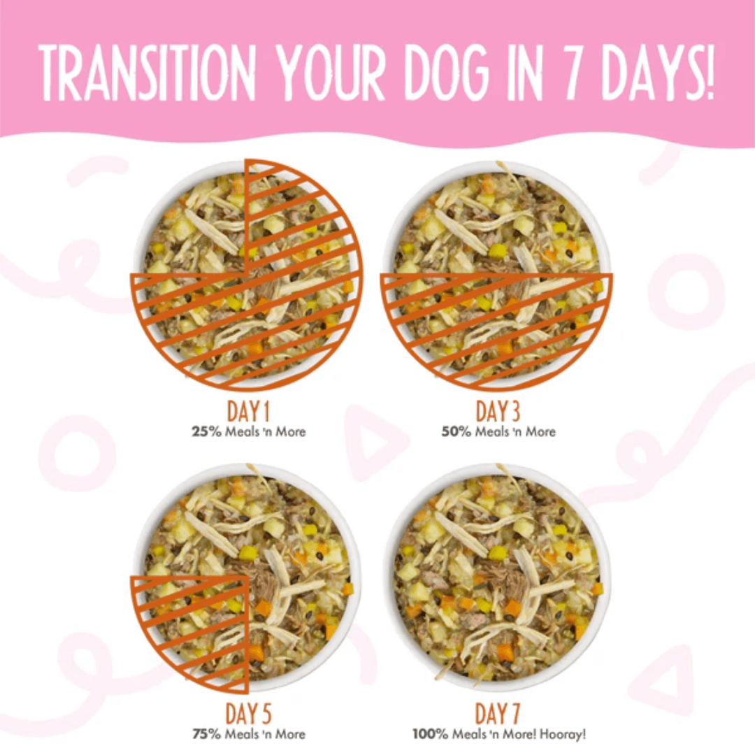 Weruva Wet Dog Food - Meals 'n More  Wok The Dog Recipe Plus with Chicken Breast, Beef and Pumpkin in Pumpkin Soup 