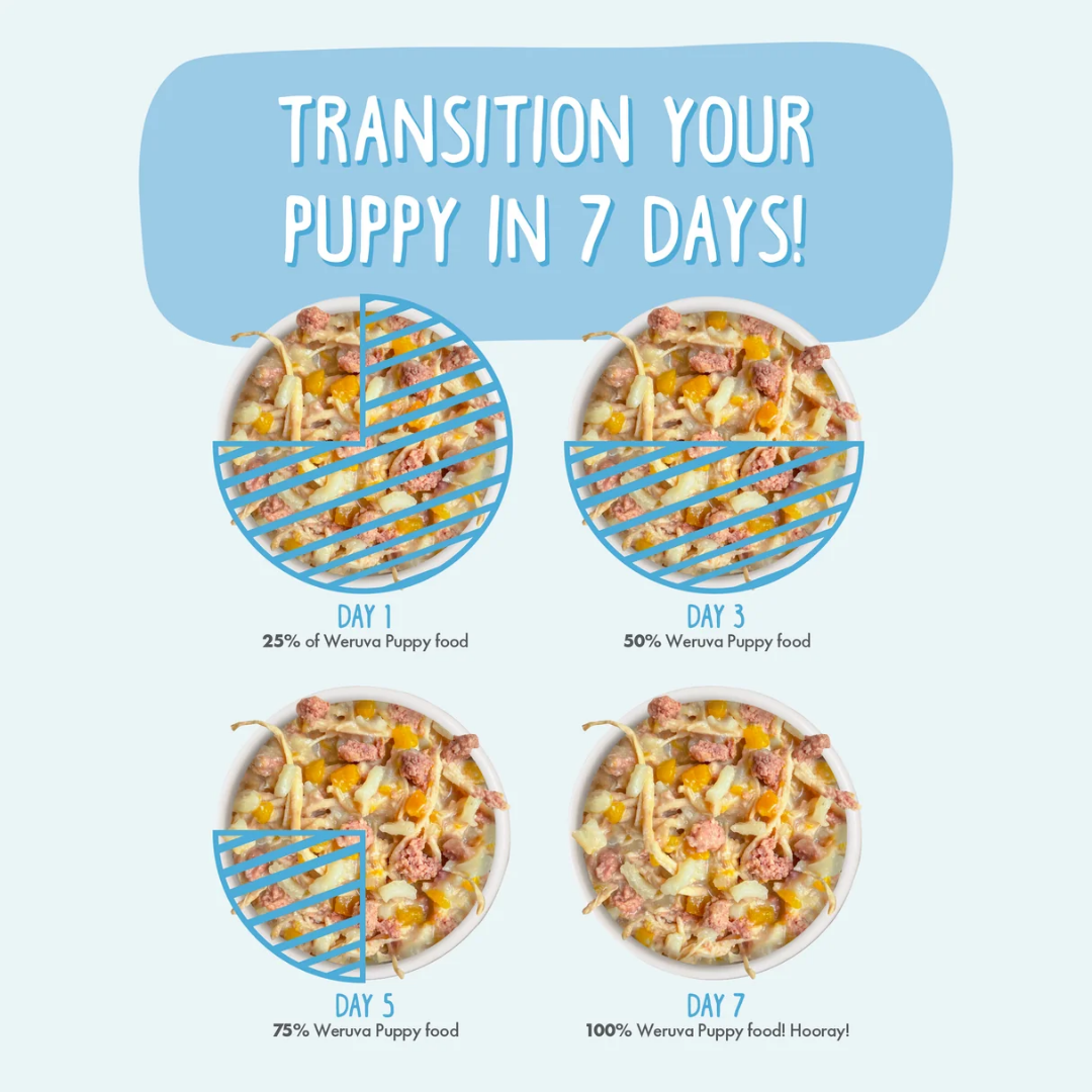 Weruva Wet Dog Food - Puppy Chicken & Rice Formula in Gravy Canned