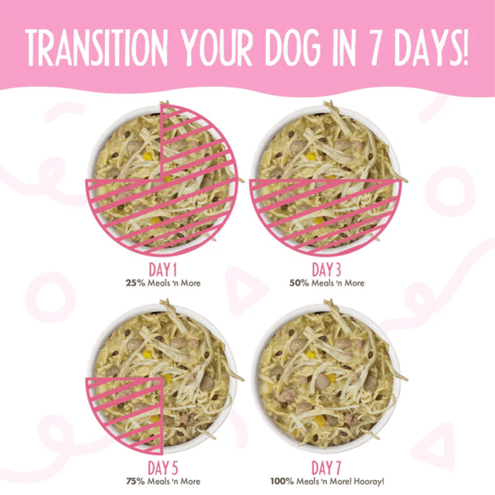 Weruva Wet Dog Food - Meals 'n More  Amazon Livin' Recipe Plus with Chicken Breast, Pumpkin & Chicken Liver in Pumpkin Soup 
