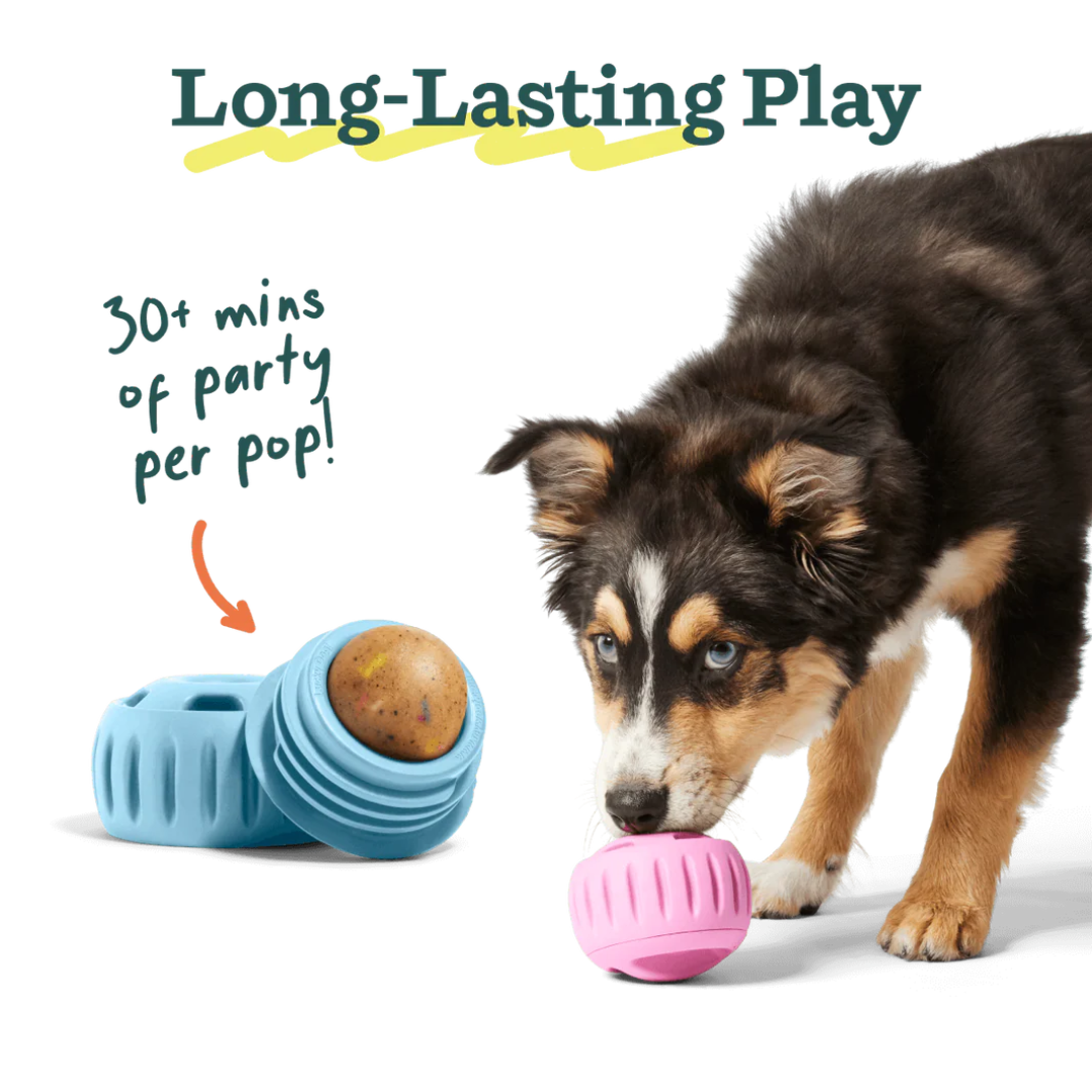 Woof Dog Treats - Pupsicle Refill Birthday Pops