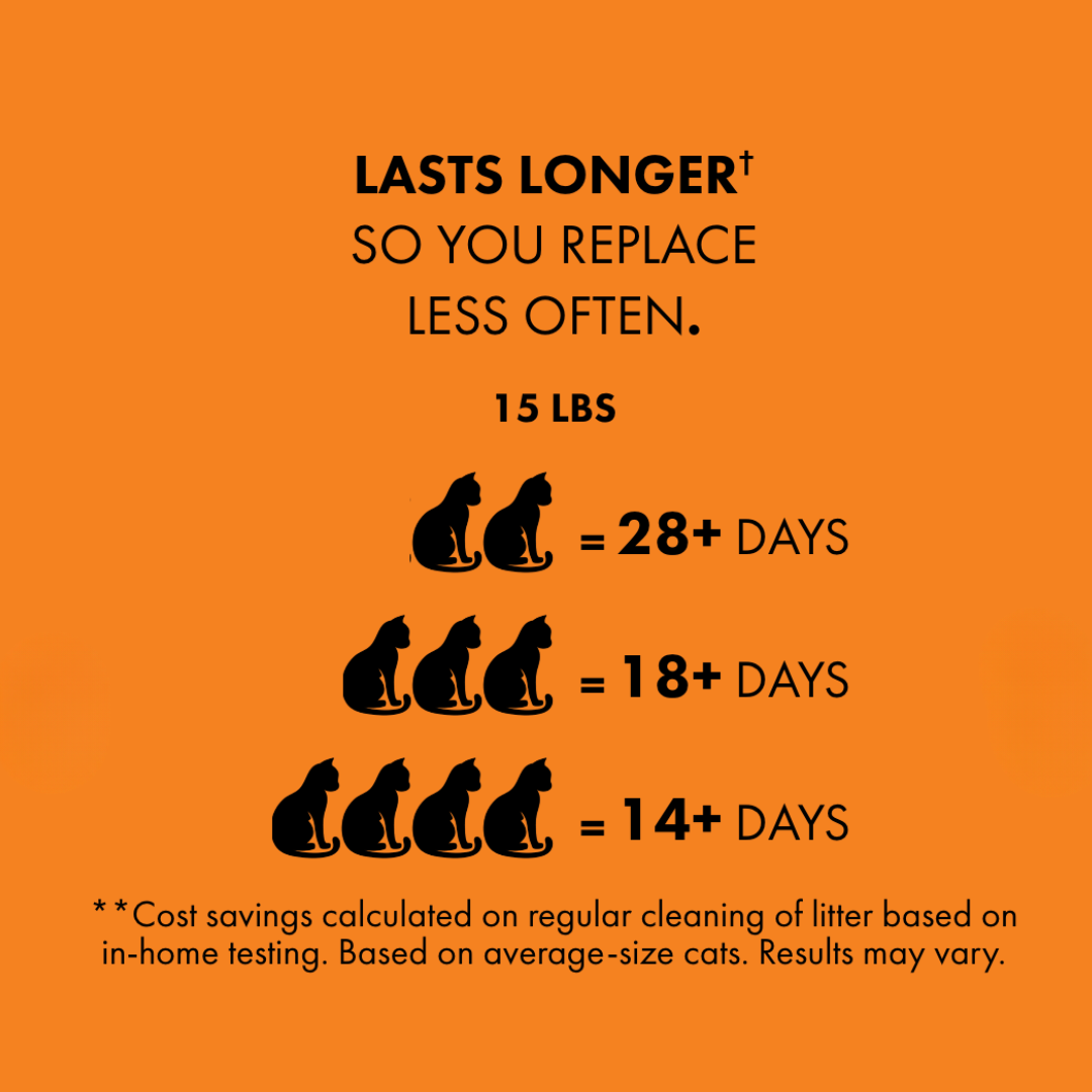 World's Best Cat Litter - Low Tracking & Dust Control