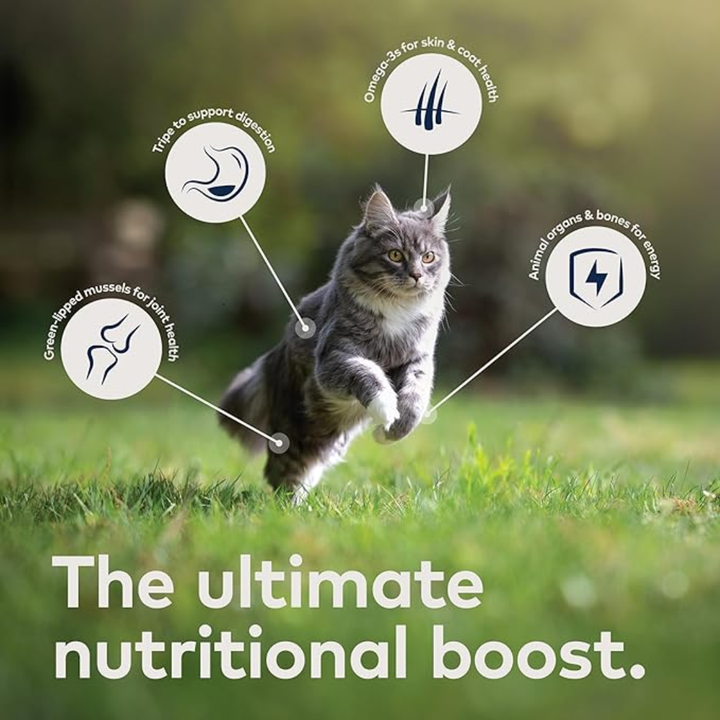 ZIWI Peak Wet Cat Food - Variety Pack - Beef, Lamb, & Venison