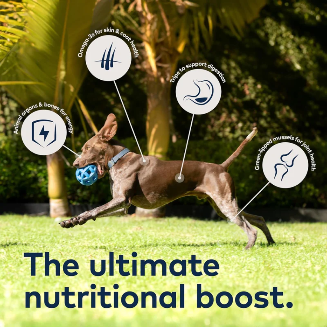 ZIWI Peak Wet Dog Food - Variety Pack - All recipes