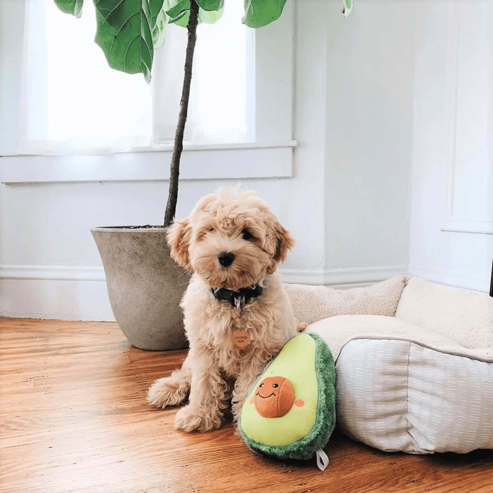 Zippy Paws Dog Toys - NomNomz – Avocado 