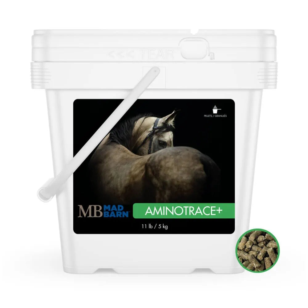Equine Supplements - Mad Barn AminoTrace+