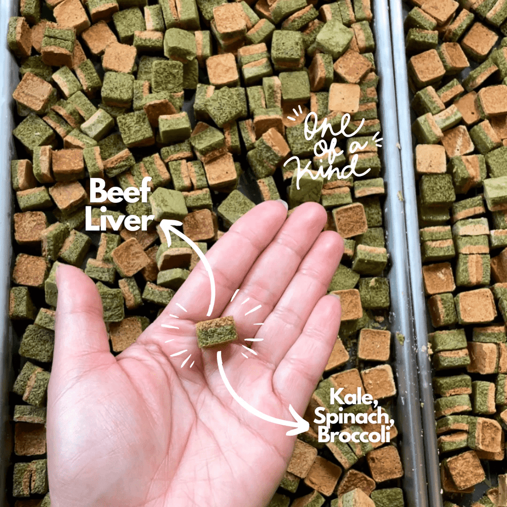 Bare Bones Freeze - Dried Dog Treats - Green Bites - Toronto Pets