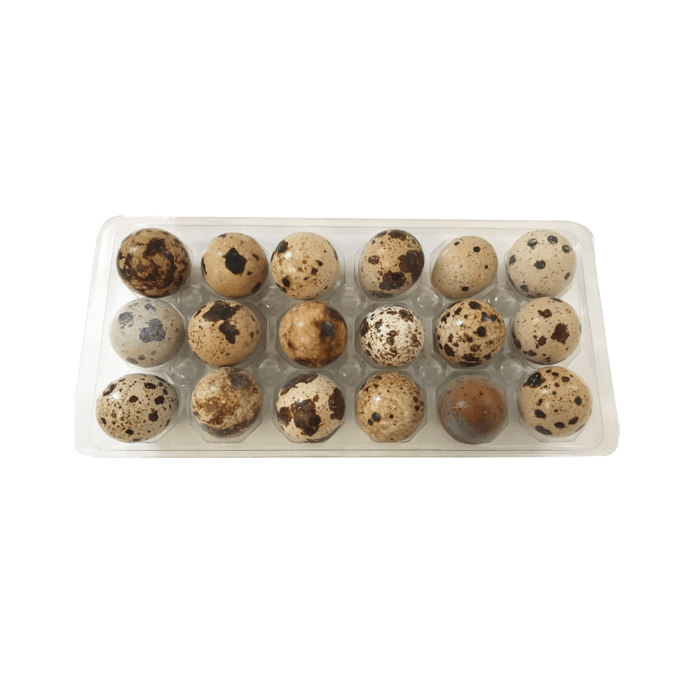 Big Country Raw Frozen Dog Treats - Quail Eggs - Toronto Pets