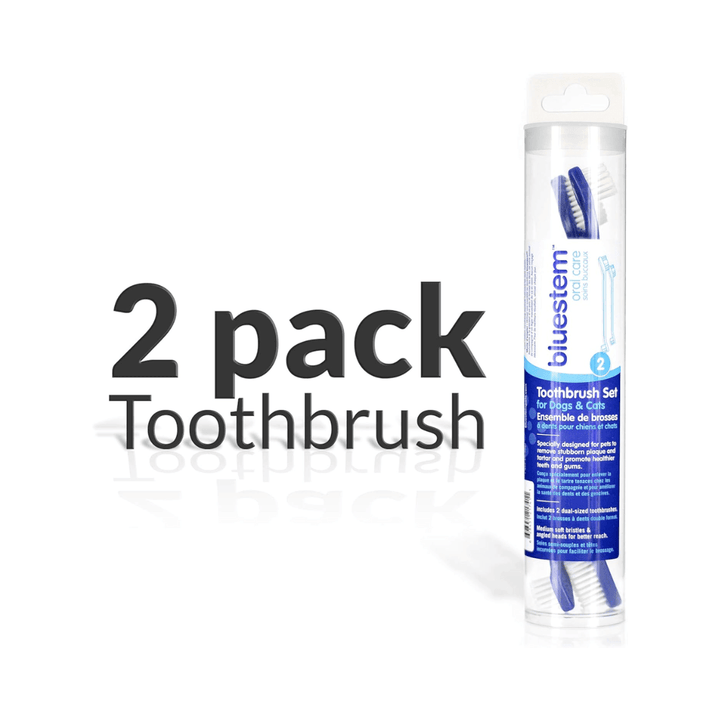 Bluestem Dog & Cat Oral Care - Toothbrush - Toronto Pets