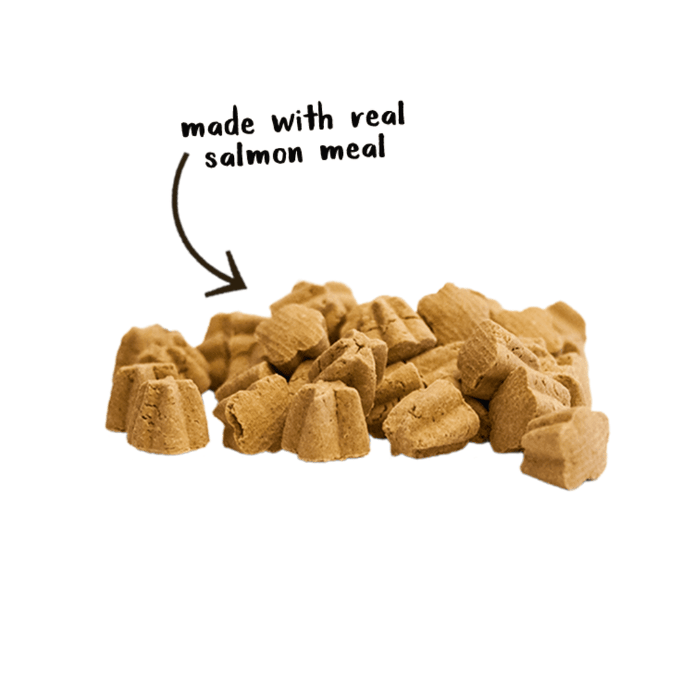 Cloud Star Dog Treats - Tricky Trainers Crunchy Salmon - Toronto Pets