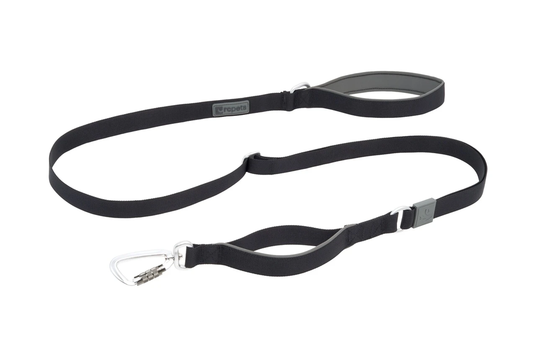RC Pets Dog Leashes - Stratus Leash Black