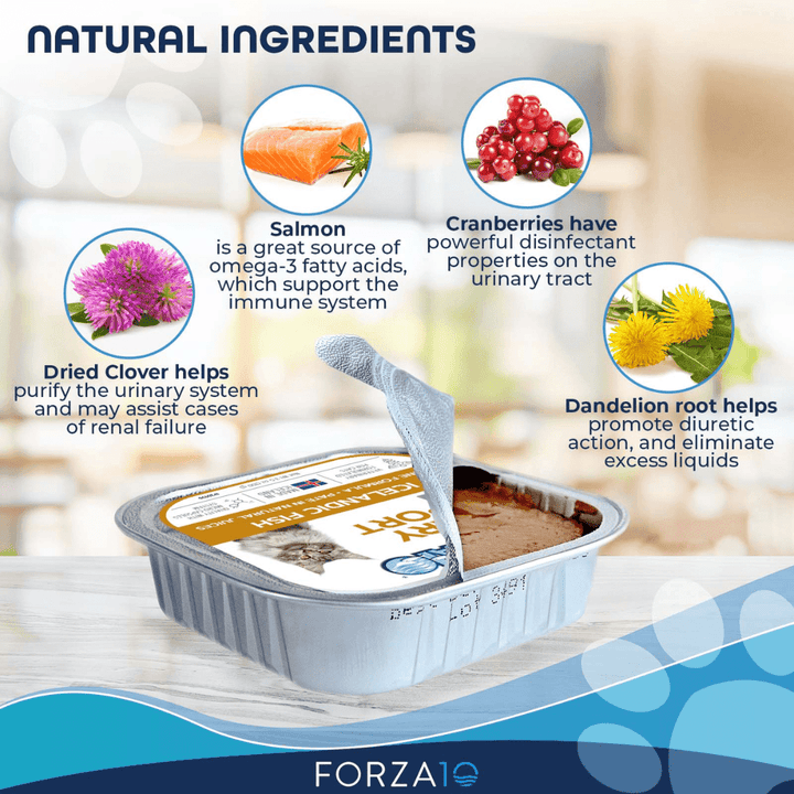 Forza10 Wet Cat Food - Nutraceutic Actiwet Urinary Support Icelandic Fish Recipe Canned - Toronto Pets