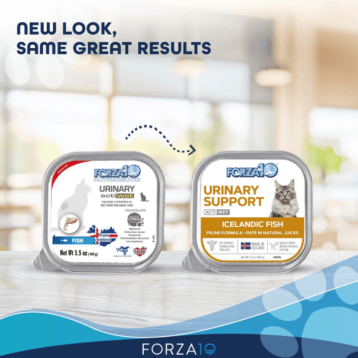 Forza10 Wet Cat Food - Nutraceutic Actiwet Urinary Support Icelandic Fish Recipe Canned - Toronto Pets