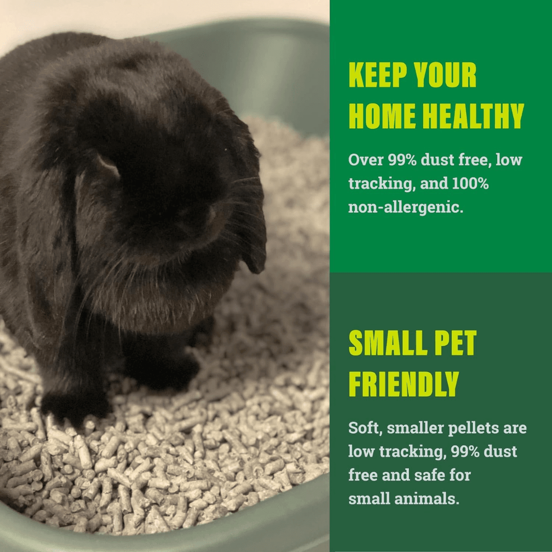 Fresh News Small Animal Litter - Original Recycled Paper Pellets Litter - Toronto Pets