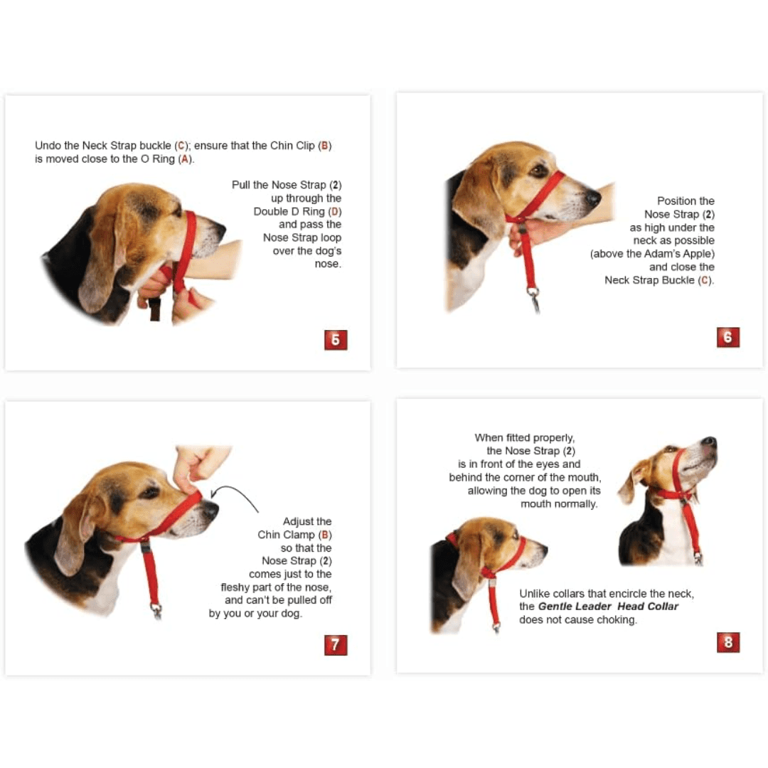Gentle Leader Paba Dog Collars - Head Collar - Toronto Pets