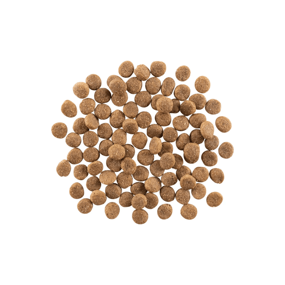 go! Dry Dog Food - Weight Management + Joint Care Grain - Free Chicken Recipe - Toronto Pets