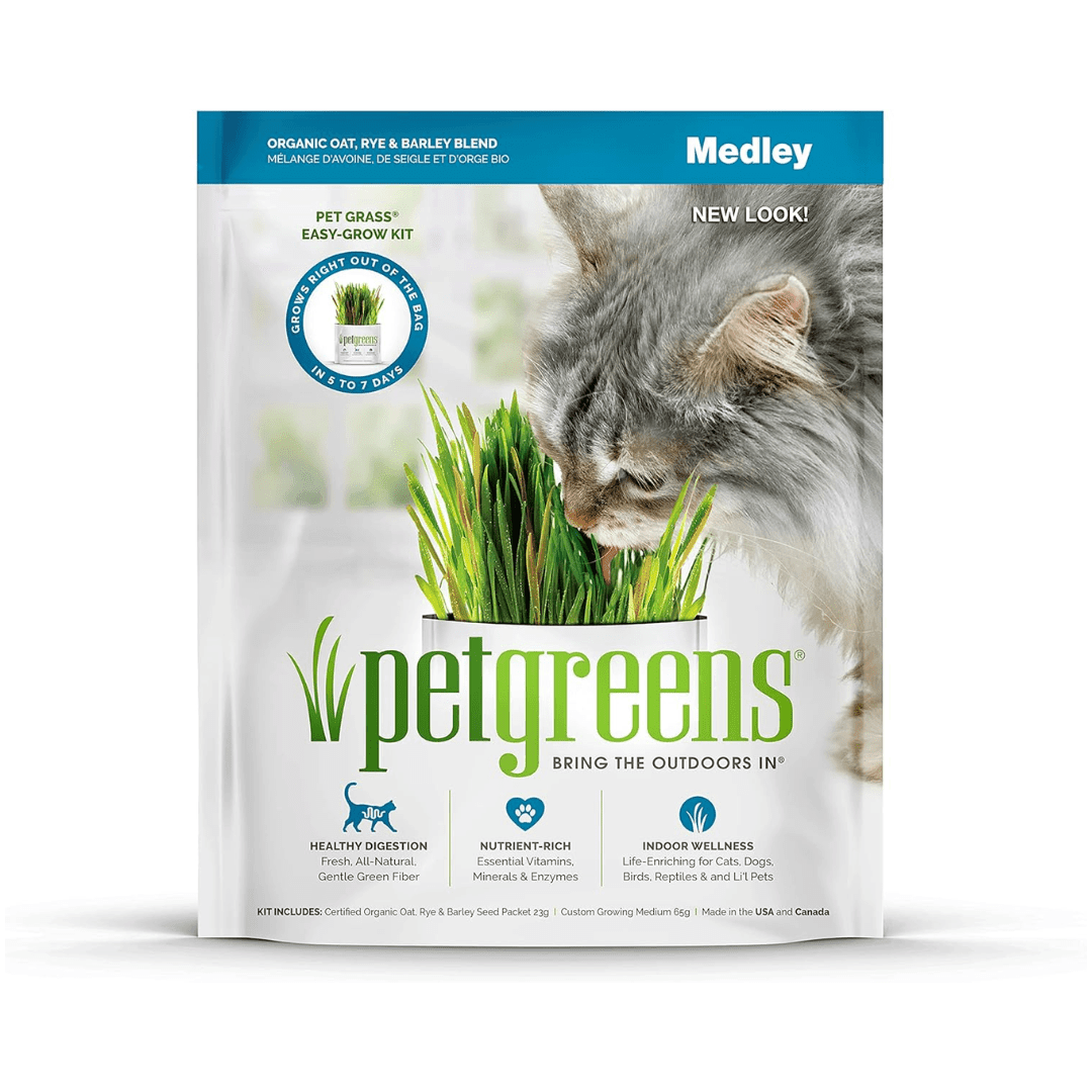 Pet Greens Cat Grass - Self Grow Kit Medley - Toronto Pets