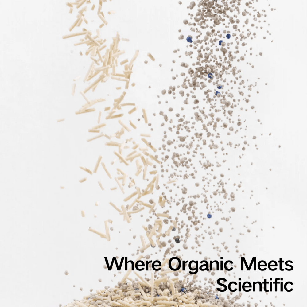 Pidan Tofu Cat Litter - Bentonite - Toronto Pets