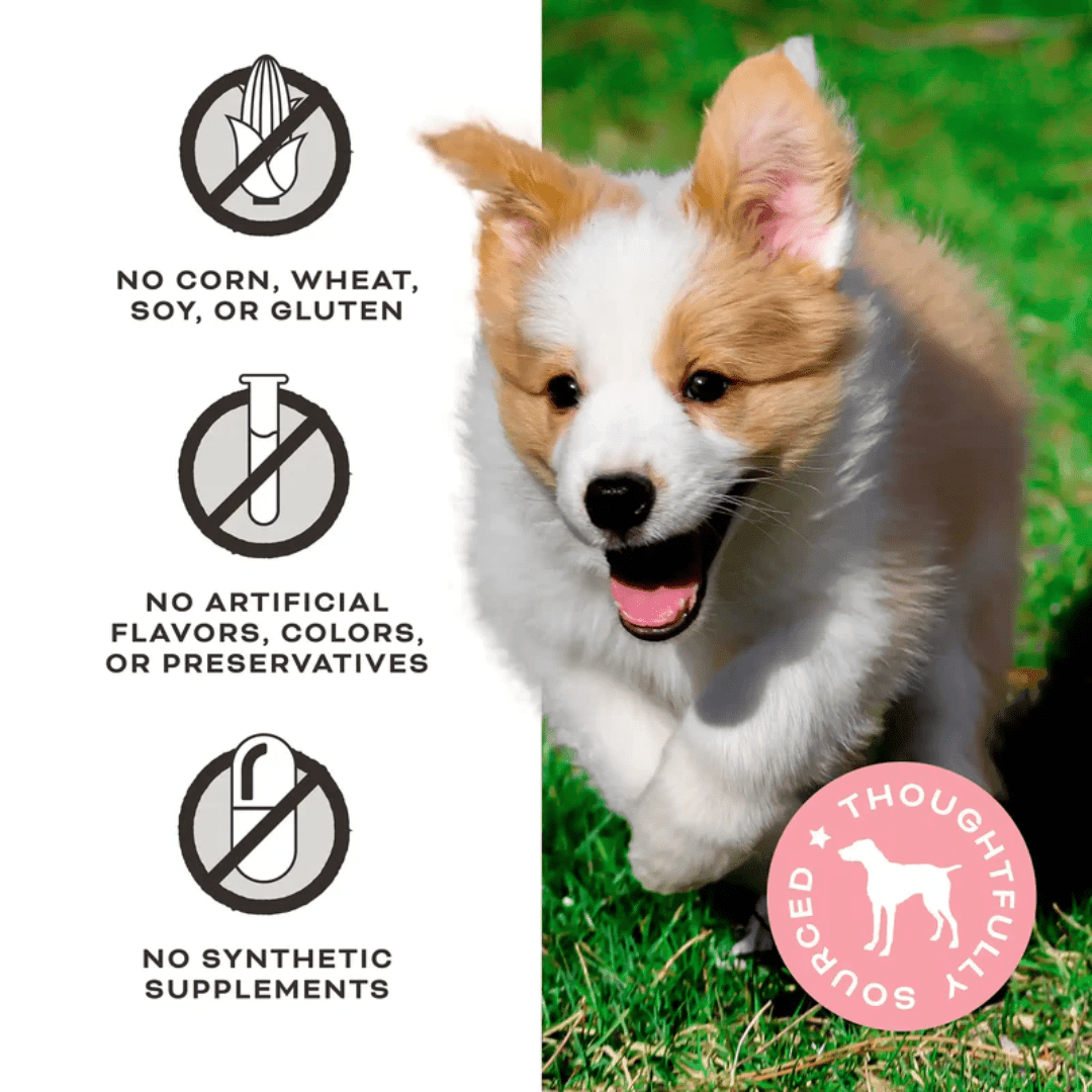 Primal Freeze - Dried Dog Treats - You're My Butter Half Chicken, Peanut Butter, & With Goat Milk Treats - Toronto Pets