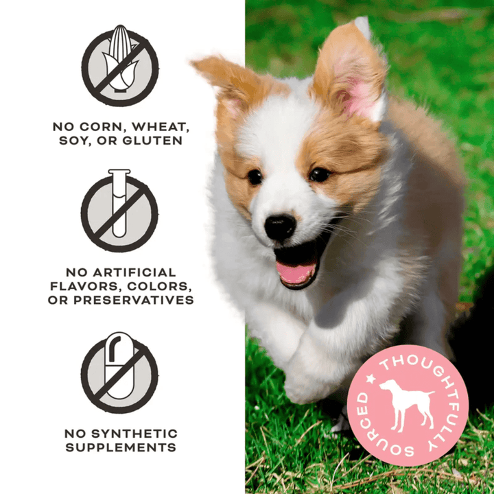 Primal Freeze - Dried Dog Treats - You're My Butter Half Chicken, Peanut Butter, & With Goat Milk Treats - Toronto Pets