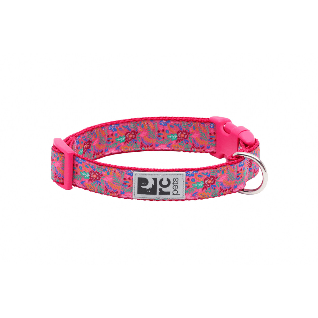 RC Pets Dog Collars - Clip Patterned Collar – Toronto Pets