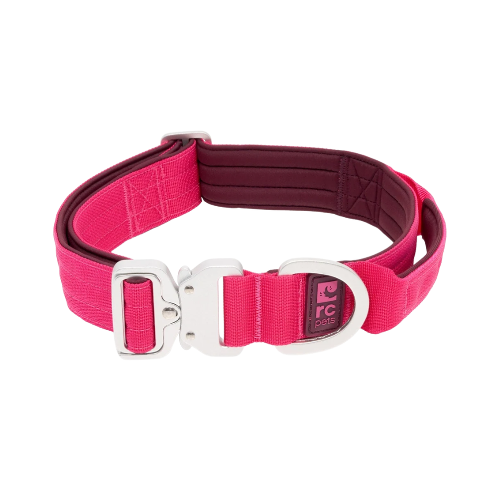 RC Pets Dog Collars - Stratus Collar - Azalea - Toronto Pets