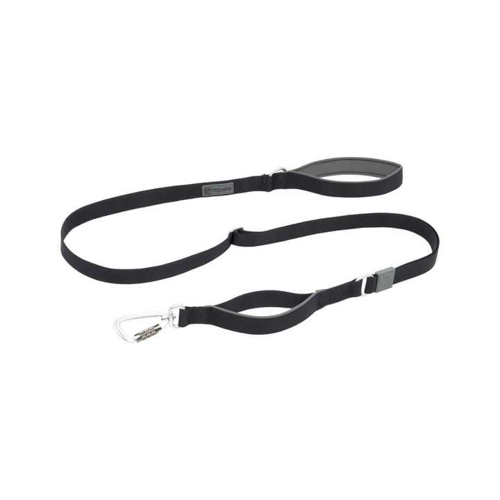 RC Pets Stratus dog leash in Black