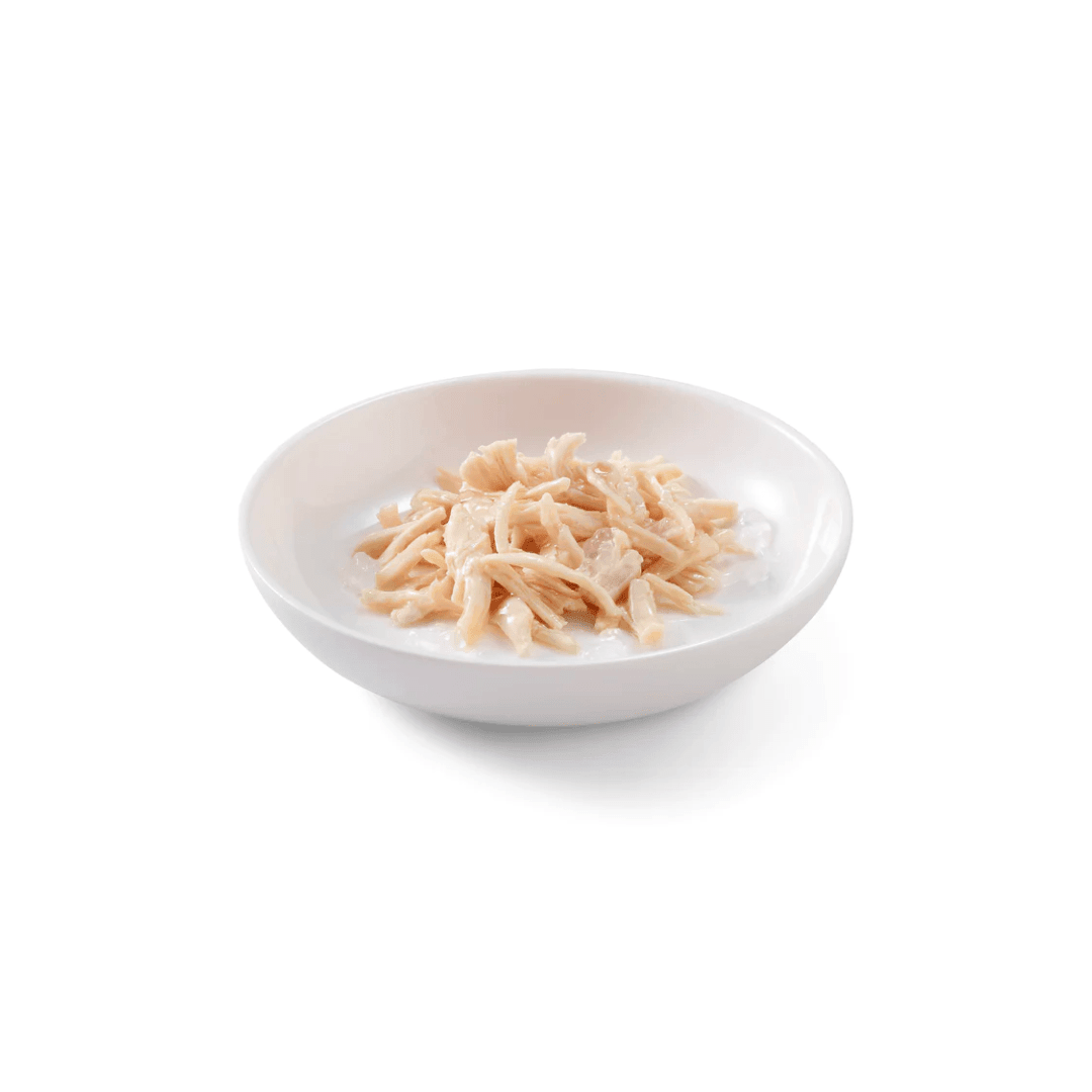 Schesir Wet Cat Food - Chicken Fillets in Jelly Canned - Toronto Pets
