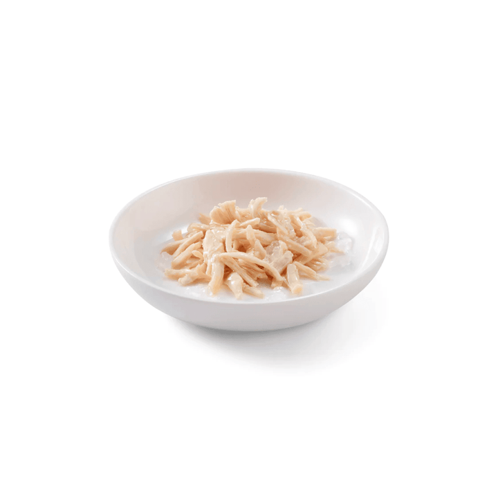 Schesir Wet Cat Food - Chicken Fillets in Jelly Canned - Toronto Pets