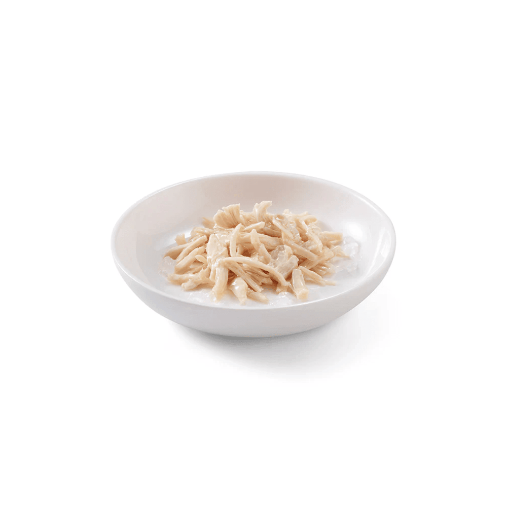 Schesir Wet Cat Food - Chicken Fillets in Jelly Pouch - Toronto Pets