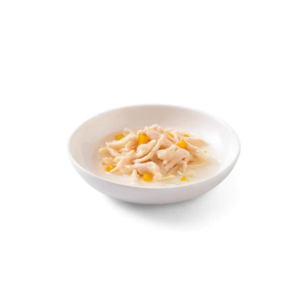 Schesir Wet Cat Food - Chicken with Pumpkin in Jelly Canned Multipack - Toronto Pets