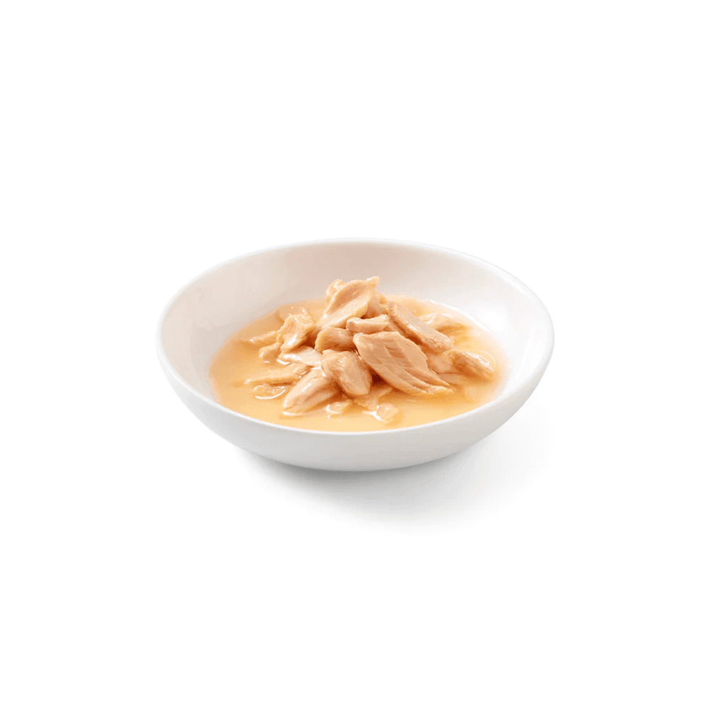 Schesir Wet Cat Food - Salmon Natural Style Canned - Toronto Pets