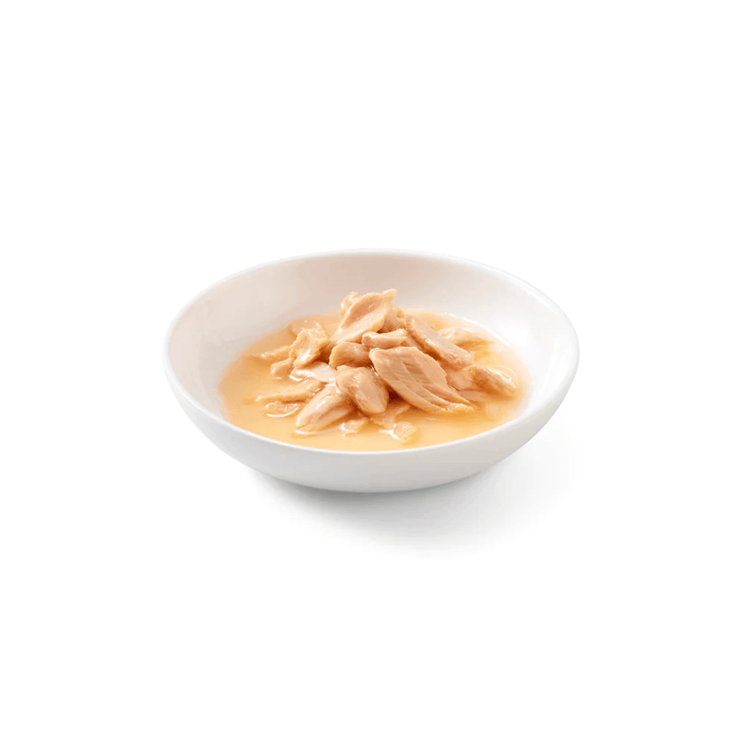 Schesir Wet Cat Food - Salmon Natural Style Canned - Toronto Pets
