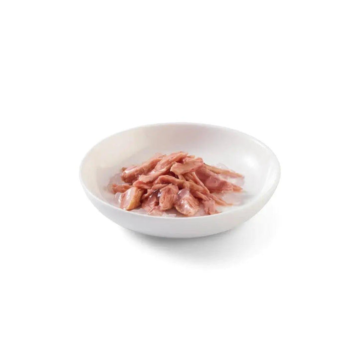 Schesir Wet Cat Food - Tuna Entree in Jelly Canned - Toronto Pets