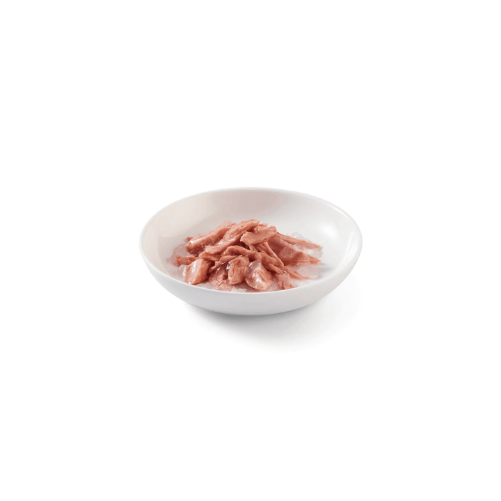 Schesir Wet Cat Food - Tuna Entree with Algae in Jelly Canned - Toronto Pets