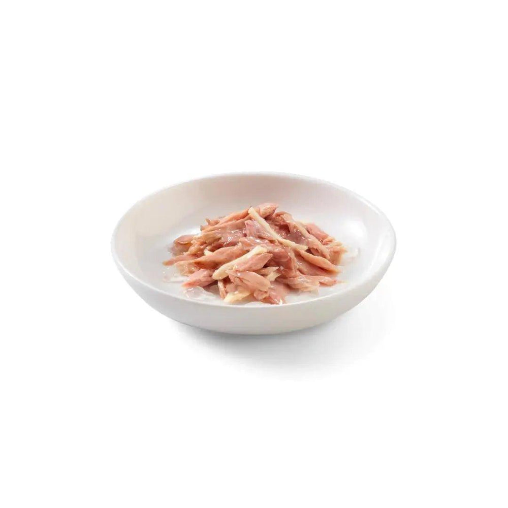 Schesir Wet Cat Food - Tuna with Chicken Fillets in Jelly Canned - Toronto Pets