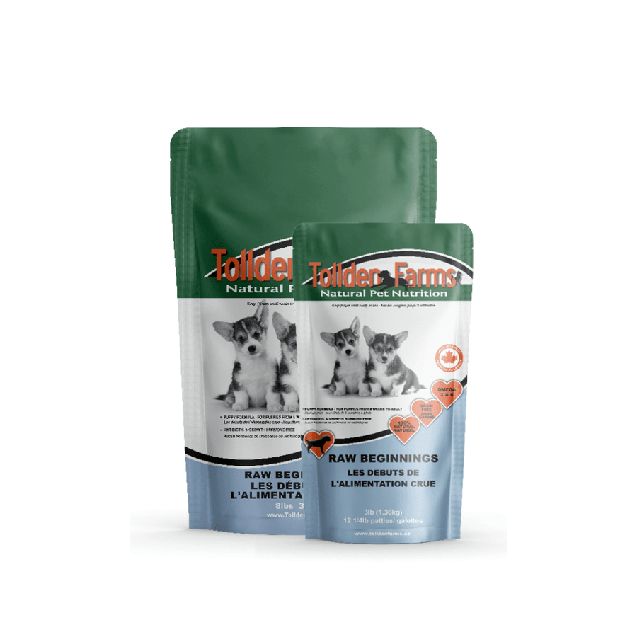 Where to Buy Raw Food for Dogs in Toronto: Top Trusted Spots