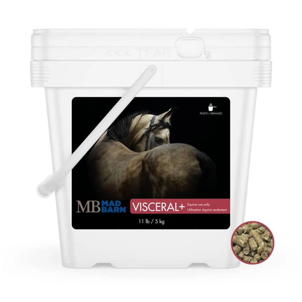Equine supplements - Mad Barn Visceral+