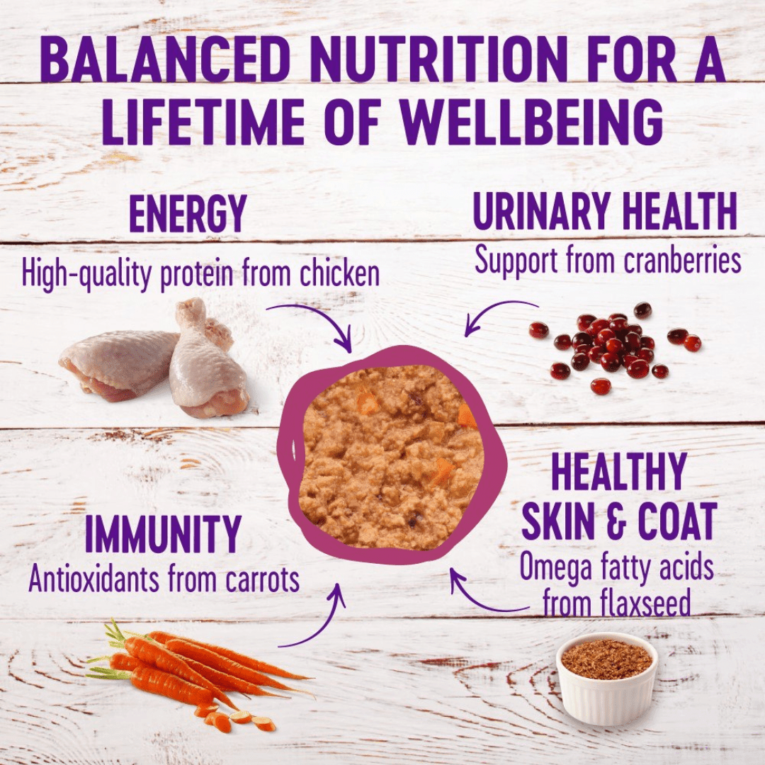 Wellness Wet Cat Food - Chicken & Lobster Pate Dinner Canned - Toronto Pets