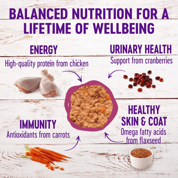 Wellness Wet Cat Food - Chicken & Lobster Pate Dinner Canned - Toronto Pets