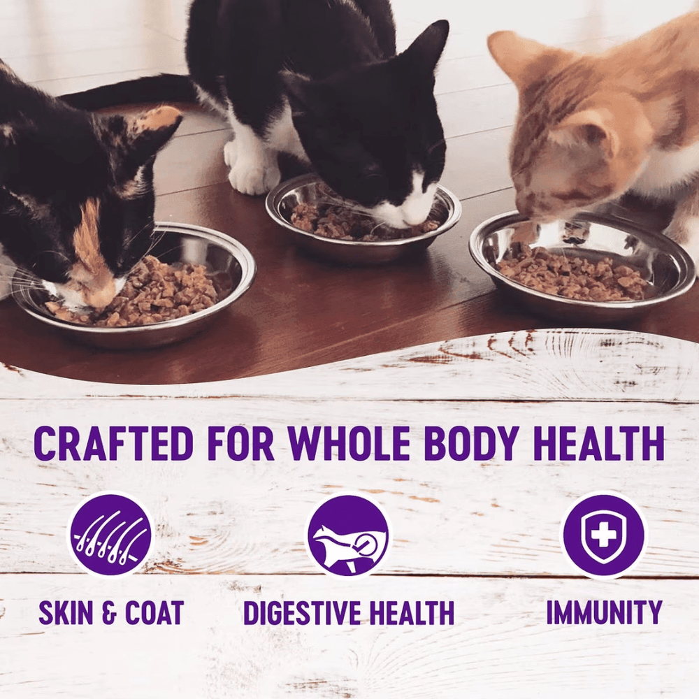 Wellness Wet Cat Food - Shreds Healthy Indulgence Chicken & Turkey Pouch - Toronto Pets
