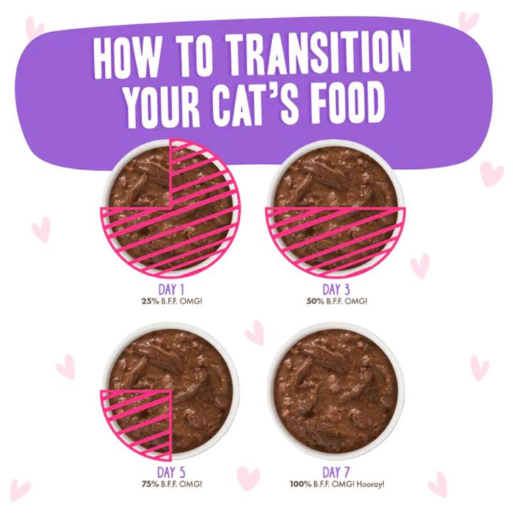 Weruva Wet Cat Food - BFF OMG Gravy Tuna & Beef Baby Cakes Tuna & Beef Dinner in Gravy Pouch - Toronto Pets